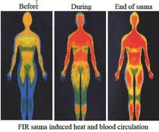 Far infrared sauna induced heat and blood CIRCULATION in body